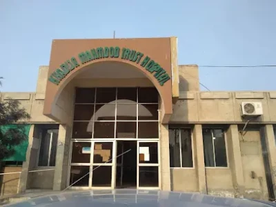 Khadija Mahmood Trust Hospital