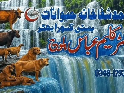 Alhamd Veterinary Clinic Basti Gasoora Bhakkar